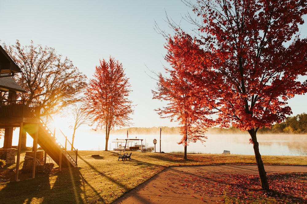 a park with a tree, a swing set and a lake in the background