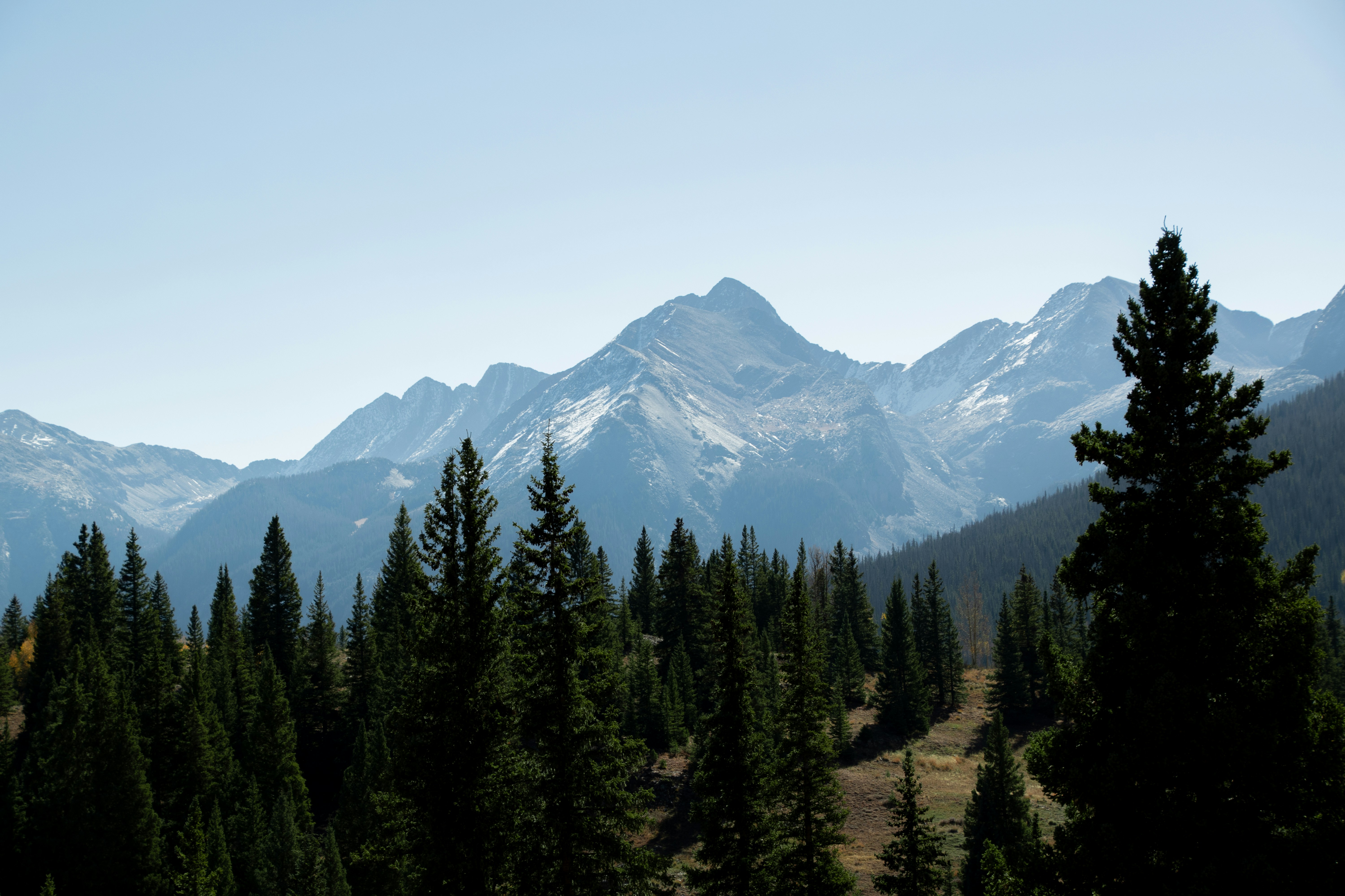 Photo by attaliehart