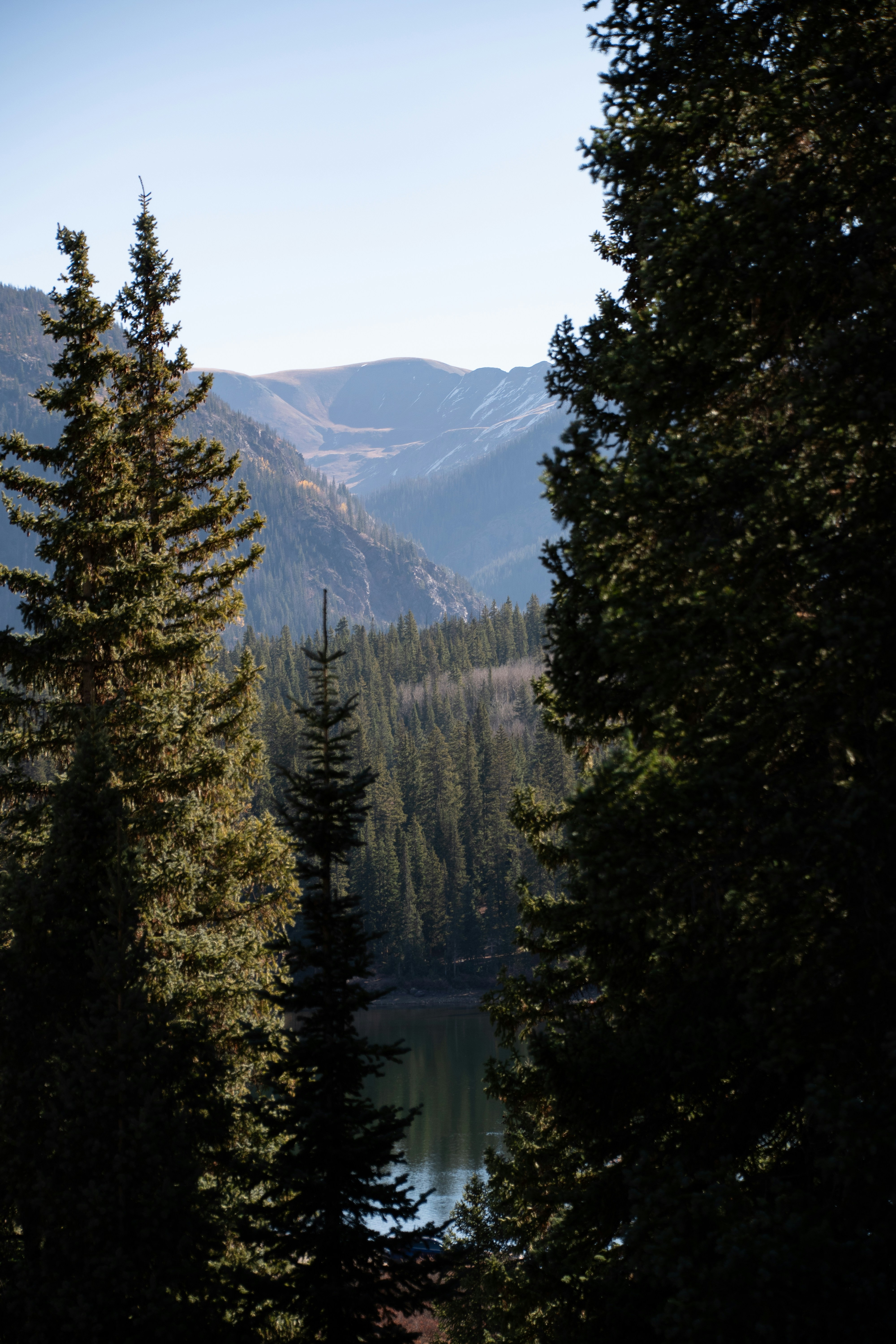 Photo by attaliehart