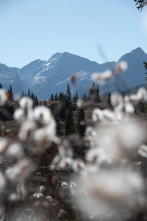A serene Himalayan landscape with wildflowers and mountain peaks under a clear blue sky.