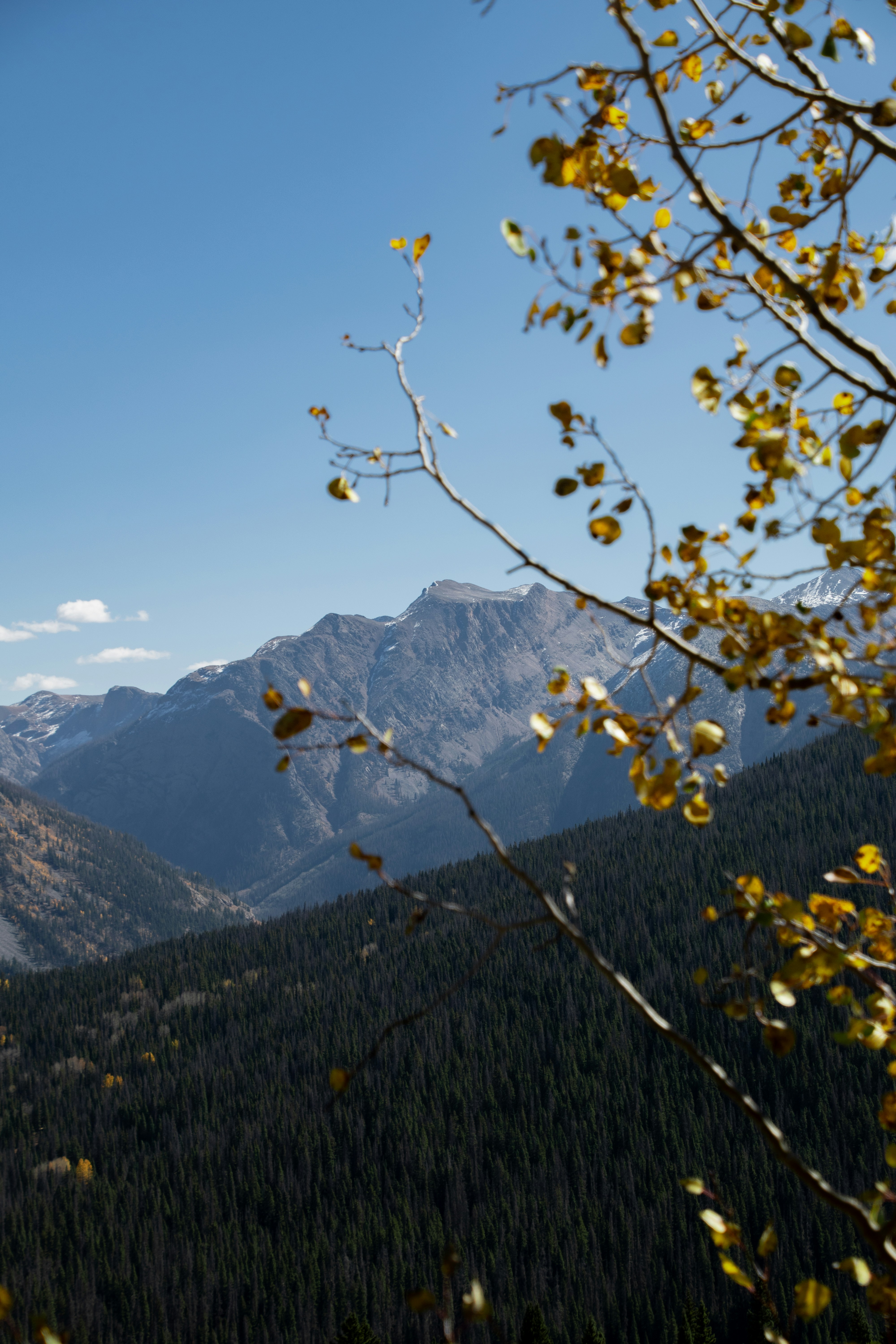 Photo by attaliehart