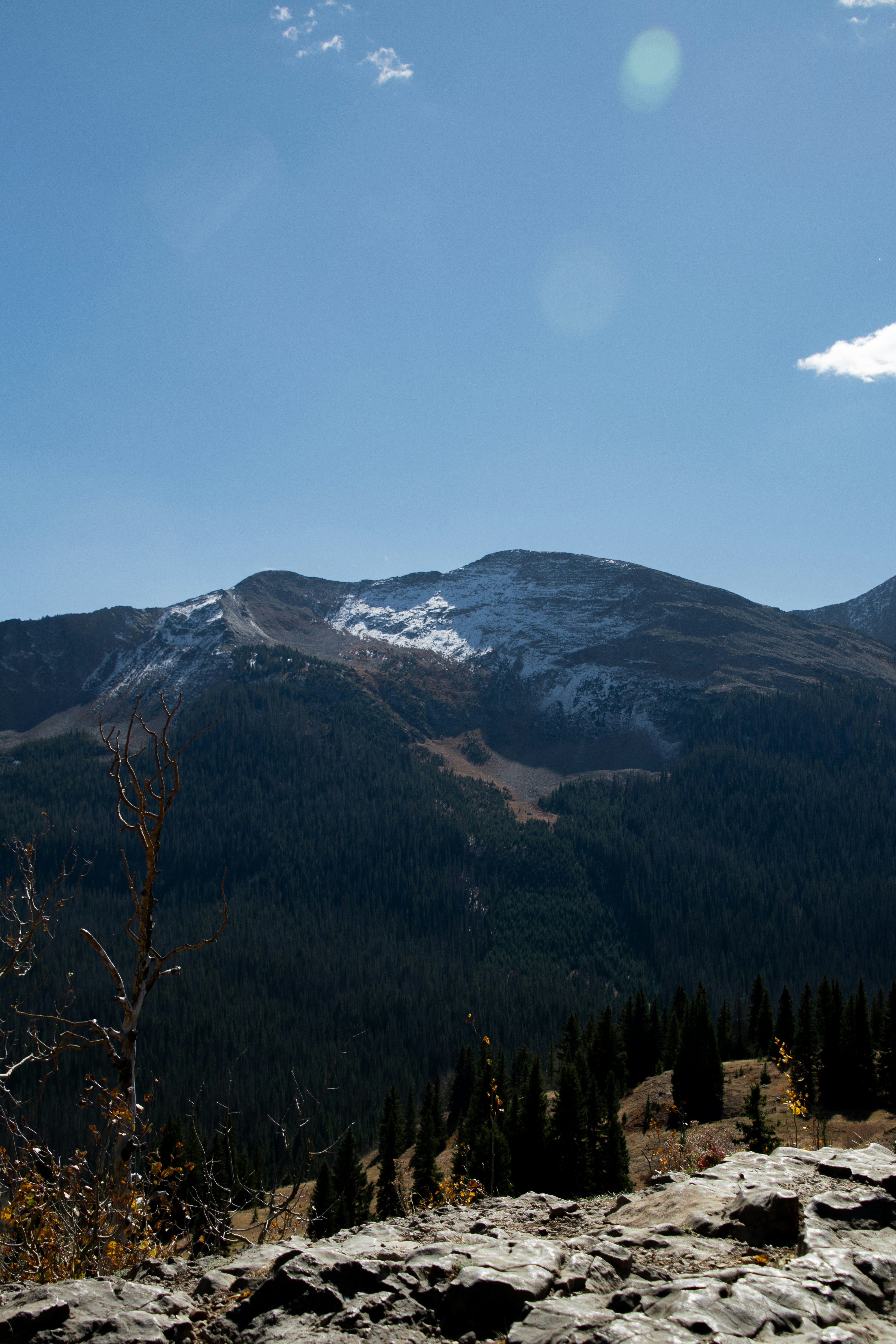 Photo by attaliehart