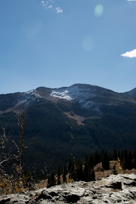 A panoramic view of a mountain landscape with a clear blue sky overhead. Snow patches are visible on the mountain peaks, contrasting with dense coniferous forests covering the lower slopes. Sunlight highlights the rough texture of rocks in the foreground, creating a sense of depth.