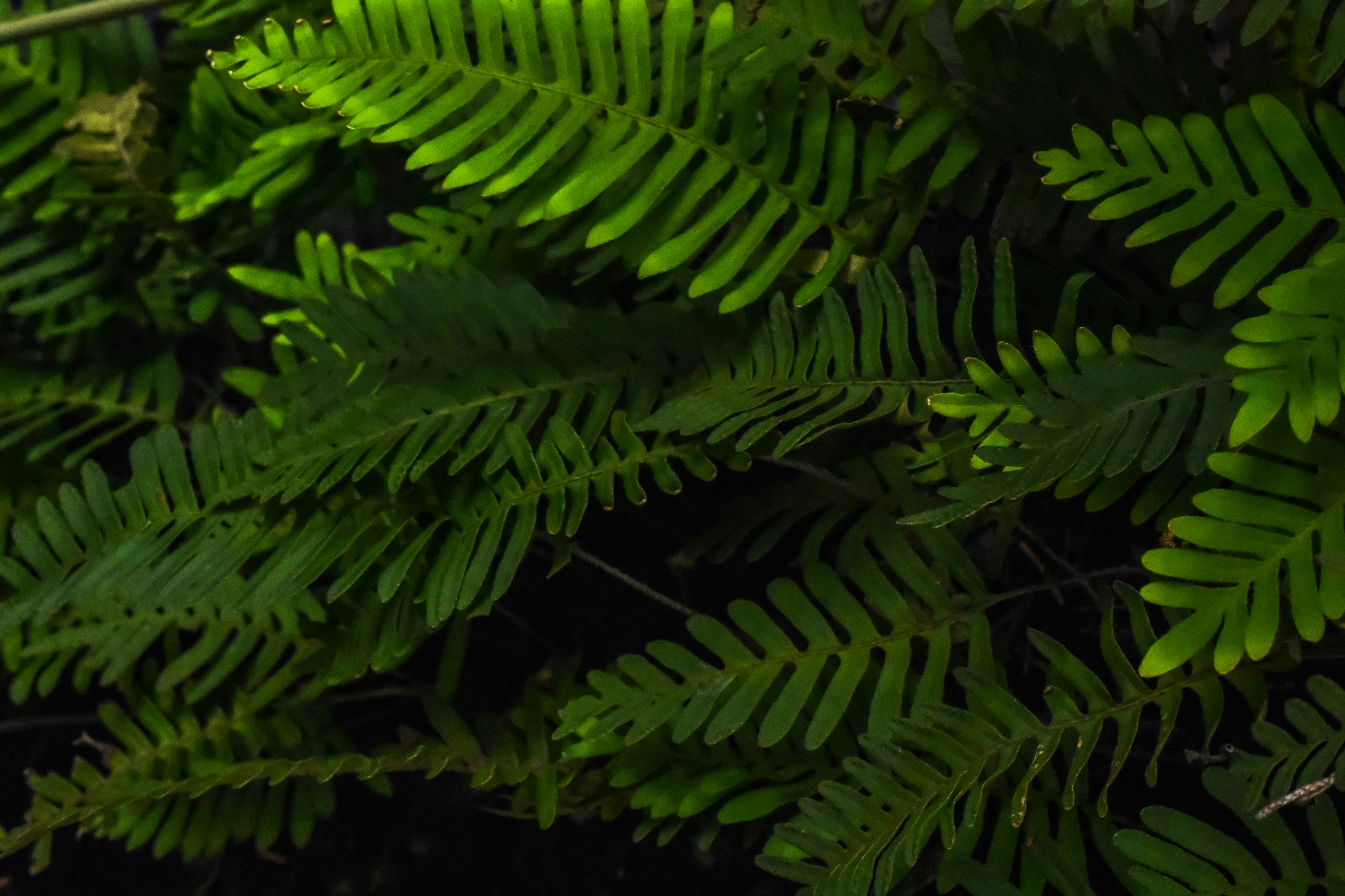 Photo by astro_civil