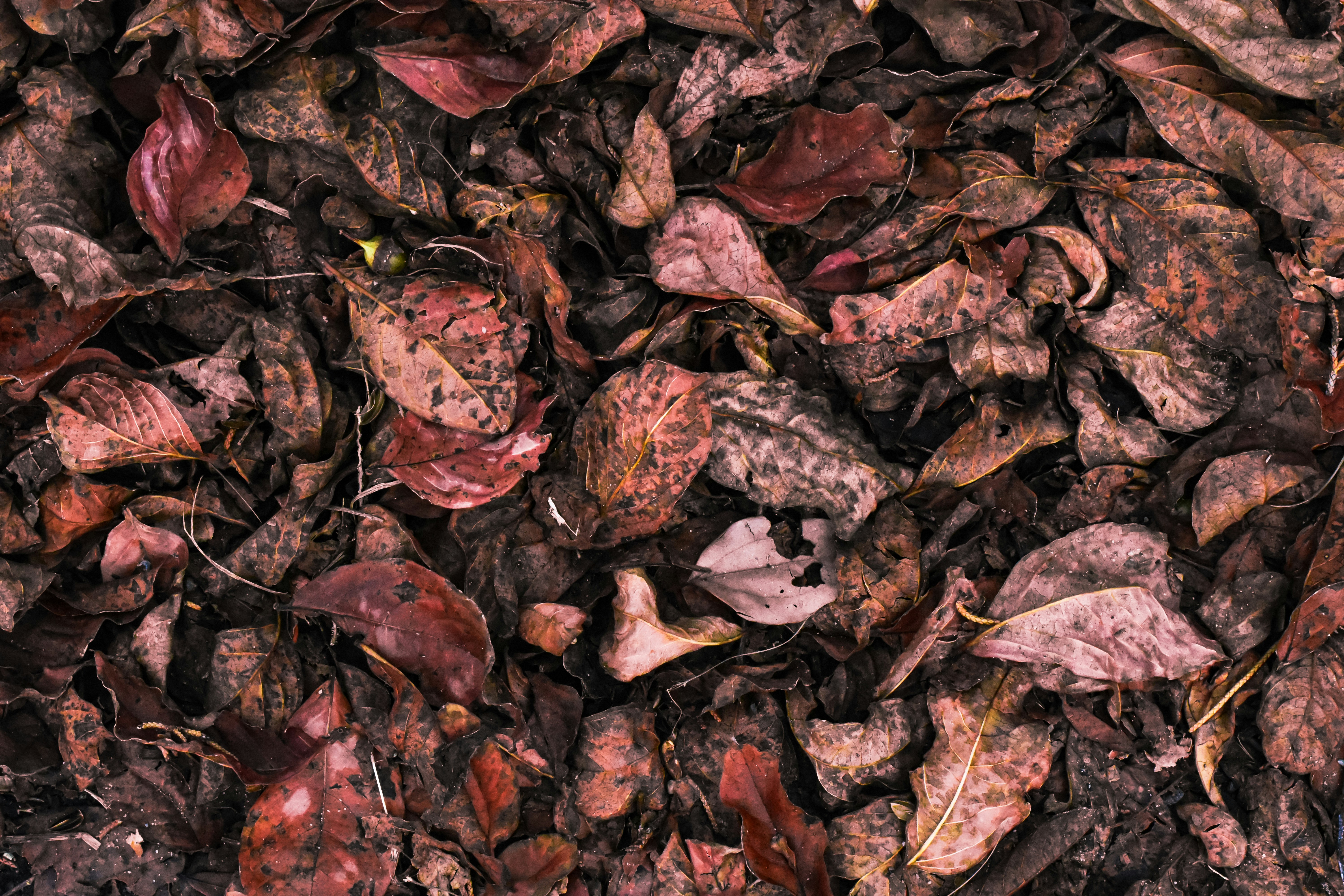 Photo by astro_civil