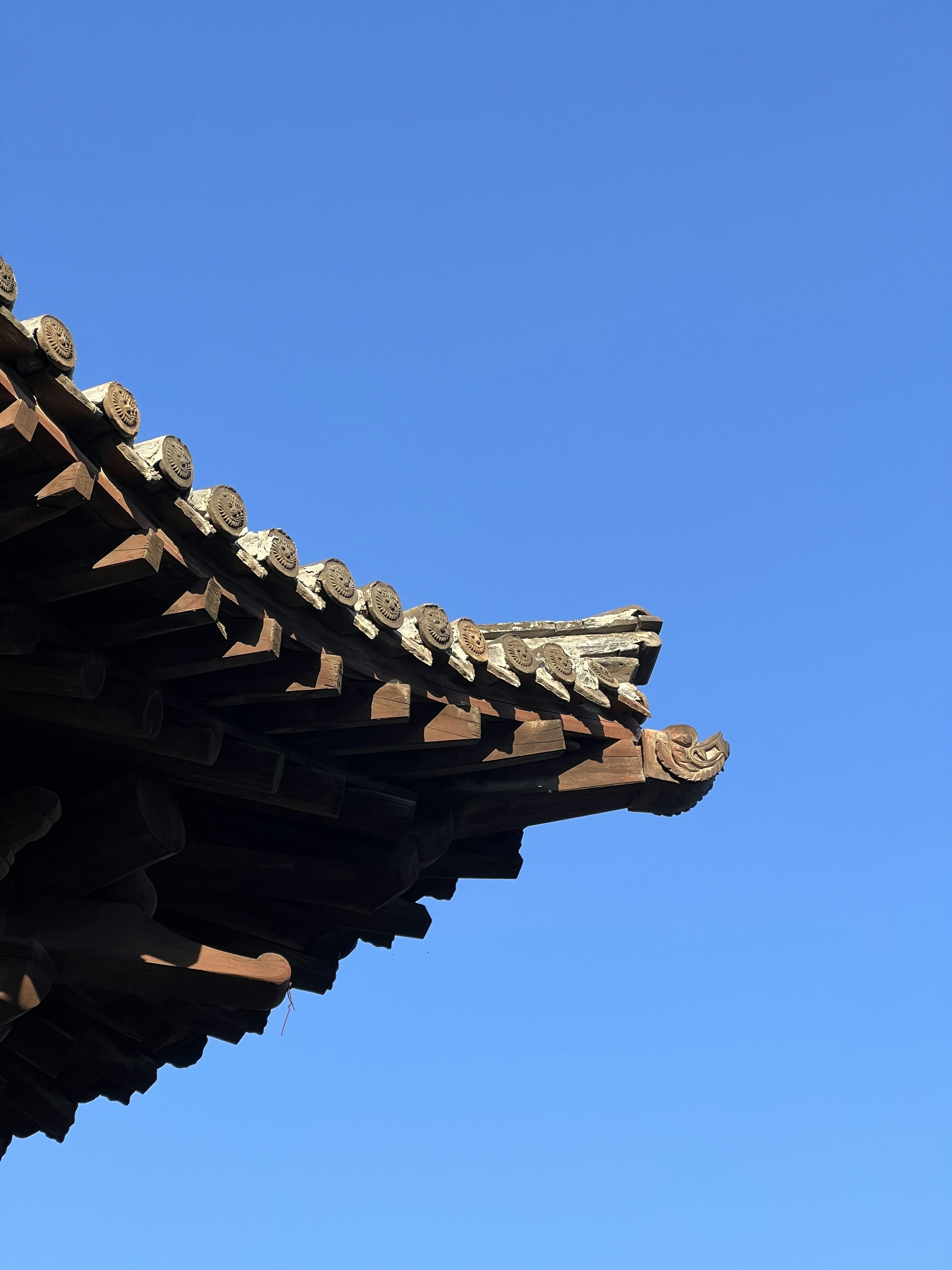 Photo by douglasalan