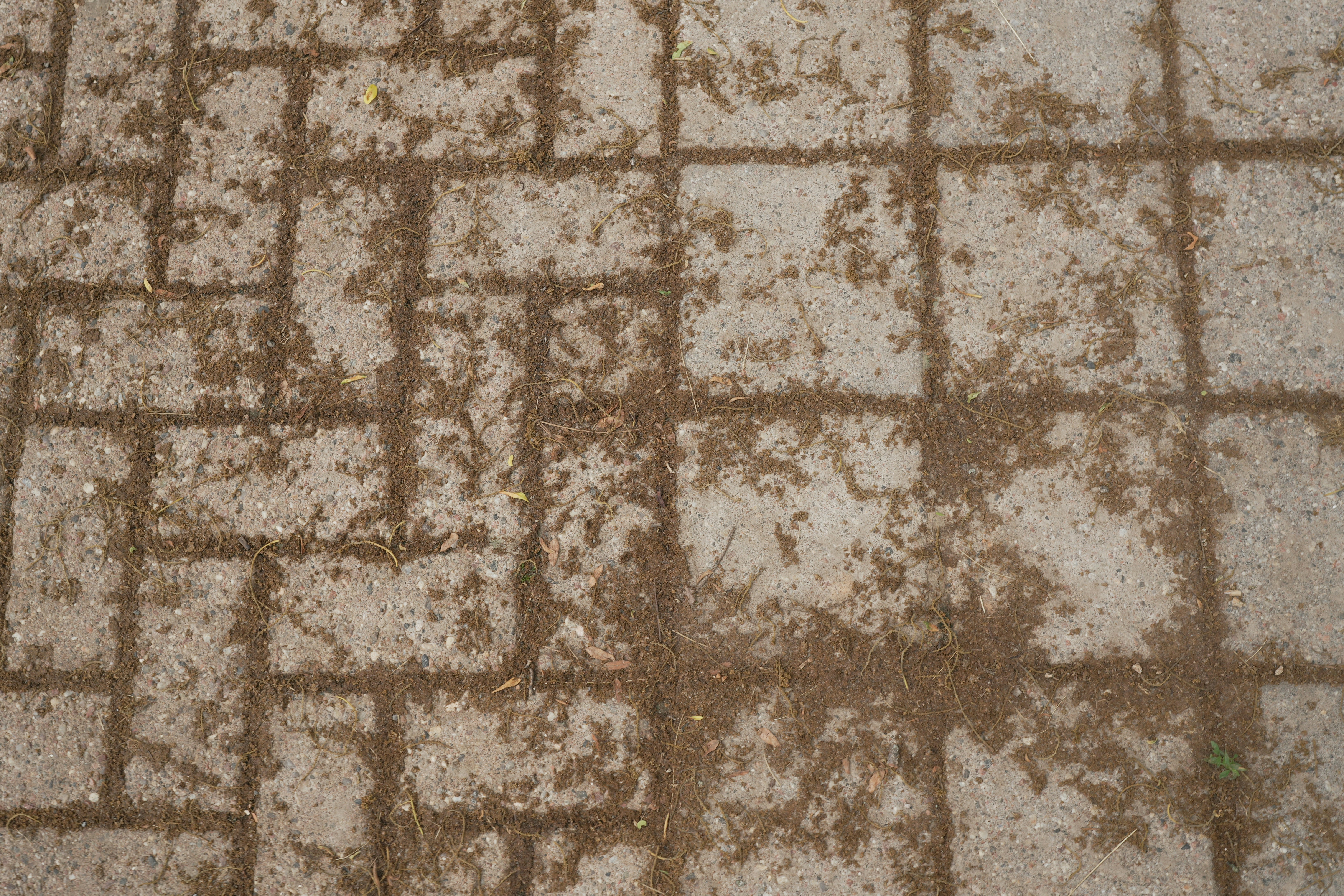 Photo by akshayspaceship