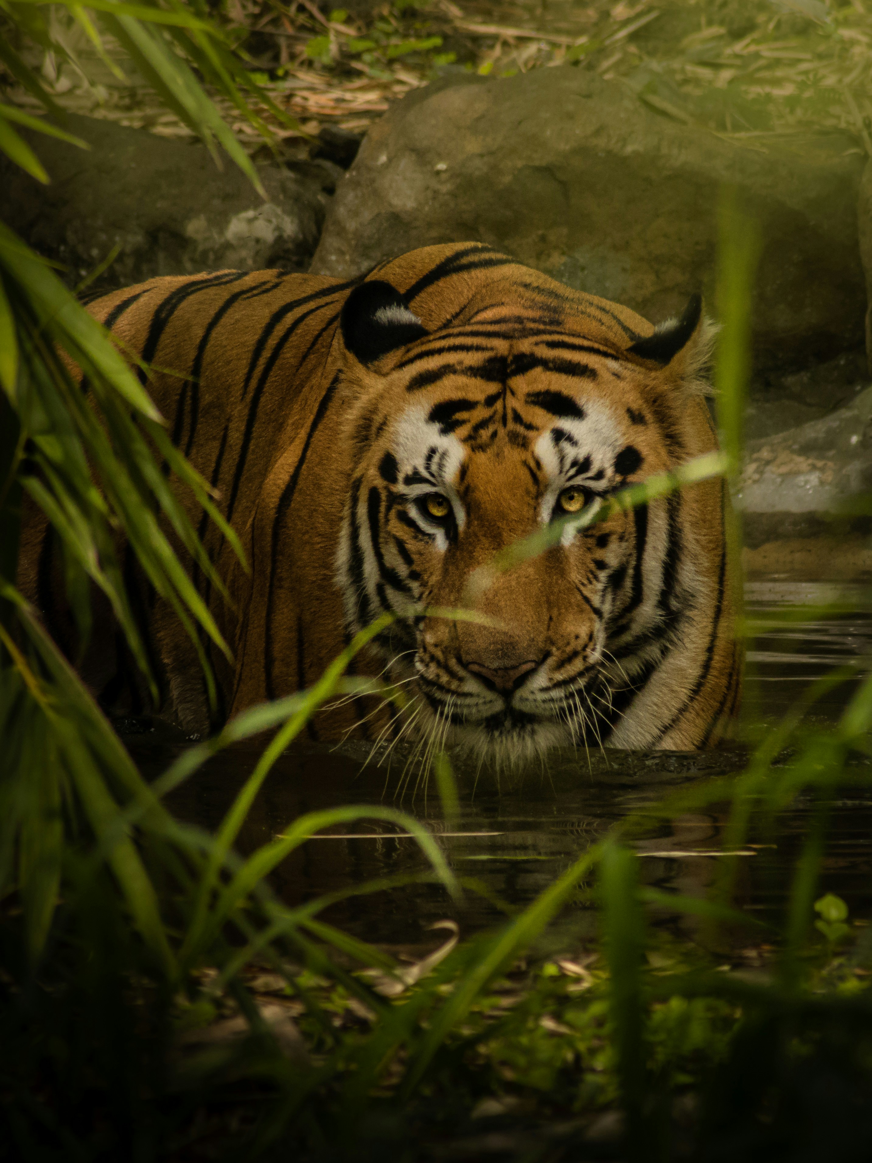 Photo by harshit_suryawanshi