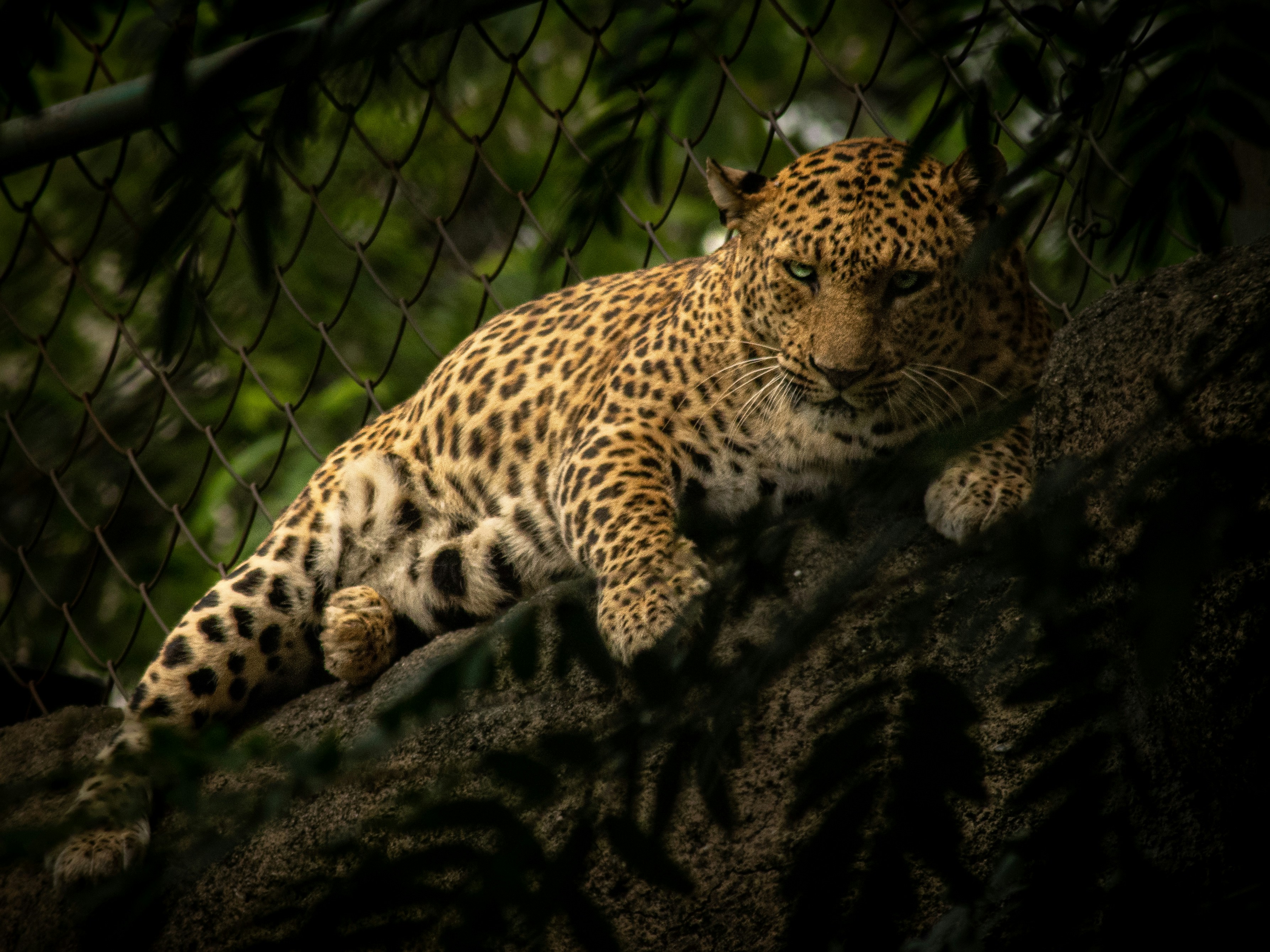 Photo by harshit_suryawanshi