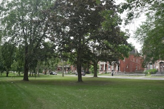 A serene park in the heart of a residential neighborhood.