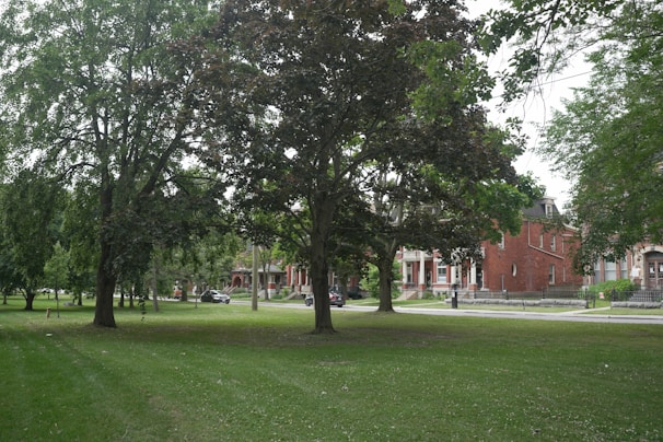 A serene park in the heart of a residential neighborhood.