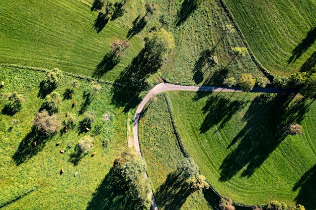 Aerial view of a lush green farm with livestock.