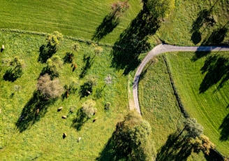 an aerial view of a lush green field