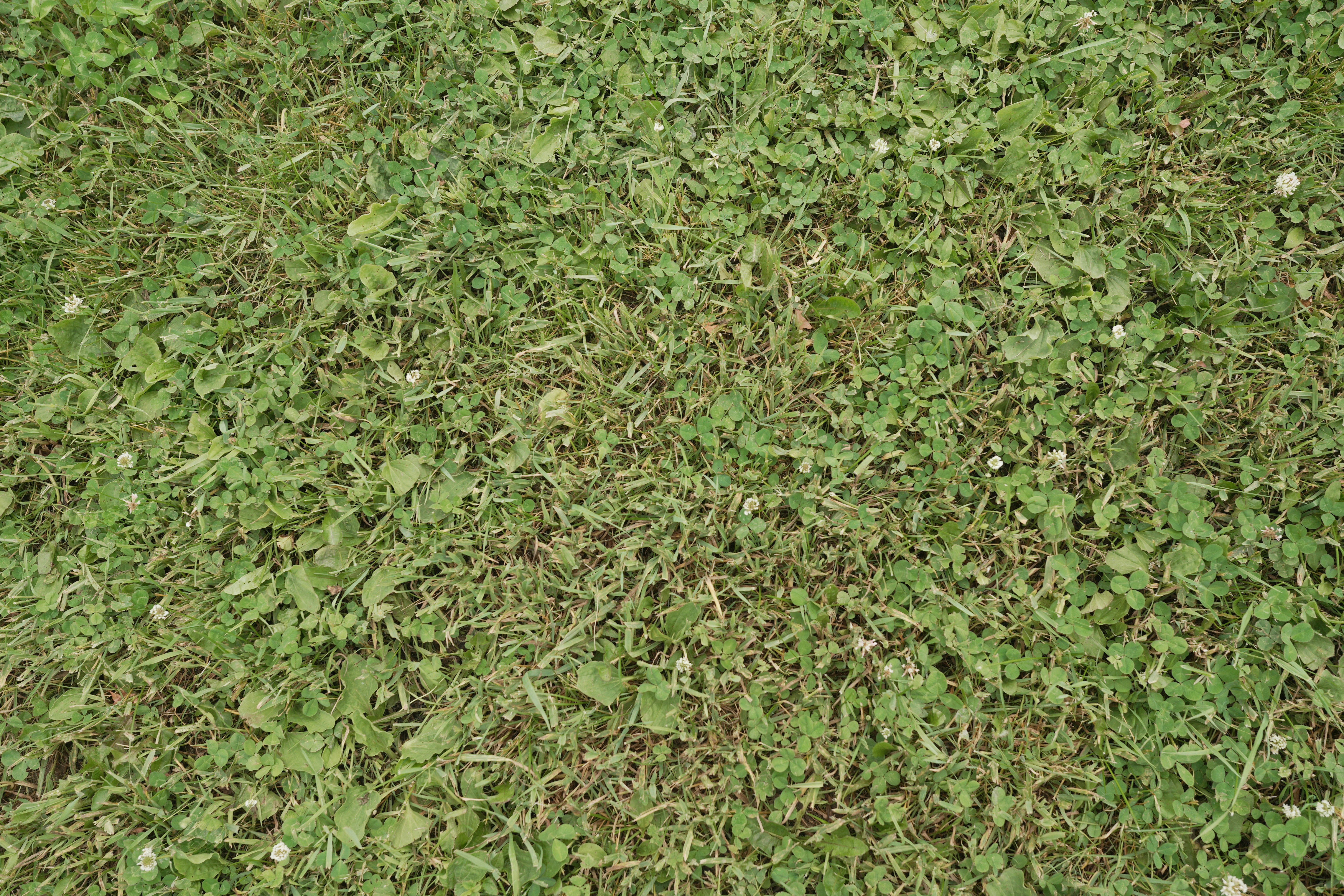 Photo by akshayspaceship