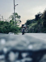 A line of motorcycles parked beside a quiet country road surrounded by trees.