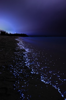 A serene nighttime beach scene with bioluminescent waves glowing in bright blue along the shoreline. The dark sky contrasts with the luminous water, creating a tranquil and magical atmosphere. Sparse vegetation is visible in the distance, and the horizon is dimly lit.