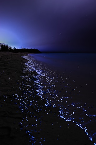 A serene nighttime beach scene with bioluminescent waves glowing in bright blue along the shoreline. The dark sky contrasts with the luminous water, creating a tranquil and magical atmosphere. Sparse vegetation is visible in the distance, and the horizon is dimly lit.