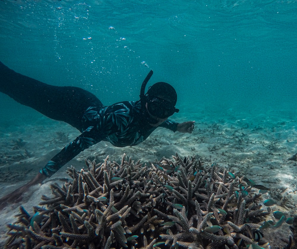 a person swimming over a coral reef in the ocean