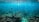 An underwater scene with vibrant marine life, featuring numerous fish swimming in clear blue water above a coral reef. Sunlight filters through the water, creating dappled patterns on the ocean floor and adding a serene glow to the environment.