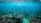 Underwater scene with vibrant marine life and clear blue water.