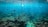 An underwater scene with vibrant marine life, featuring numerous fish swimming in clear blue water above a coral reef. Sunlight filters through the water, creating dappled patterns on the ocean floor and adding a serene glow to the environment.