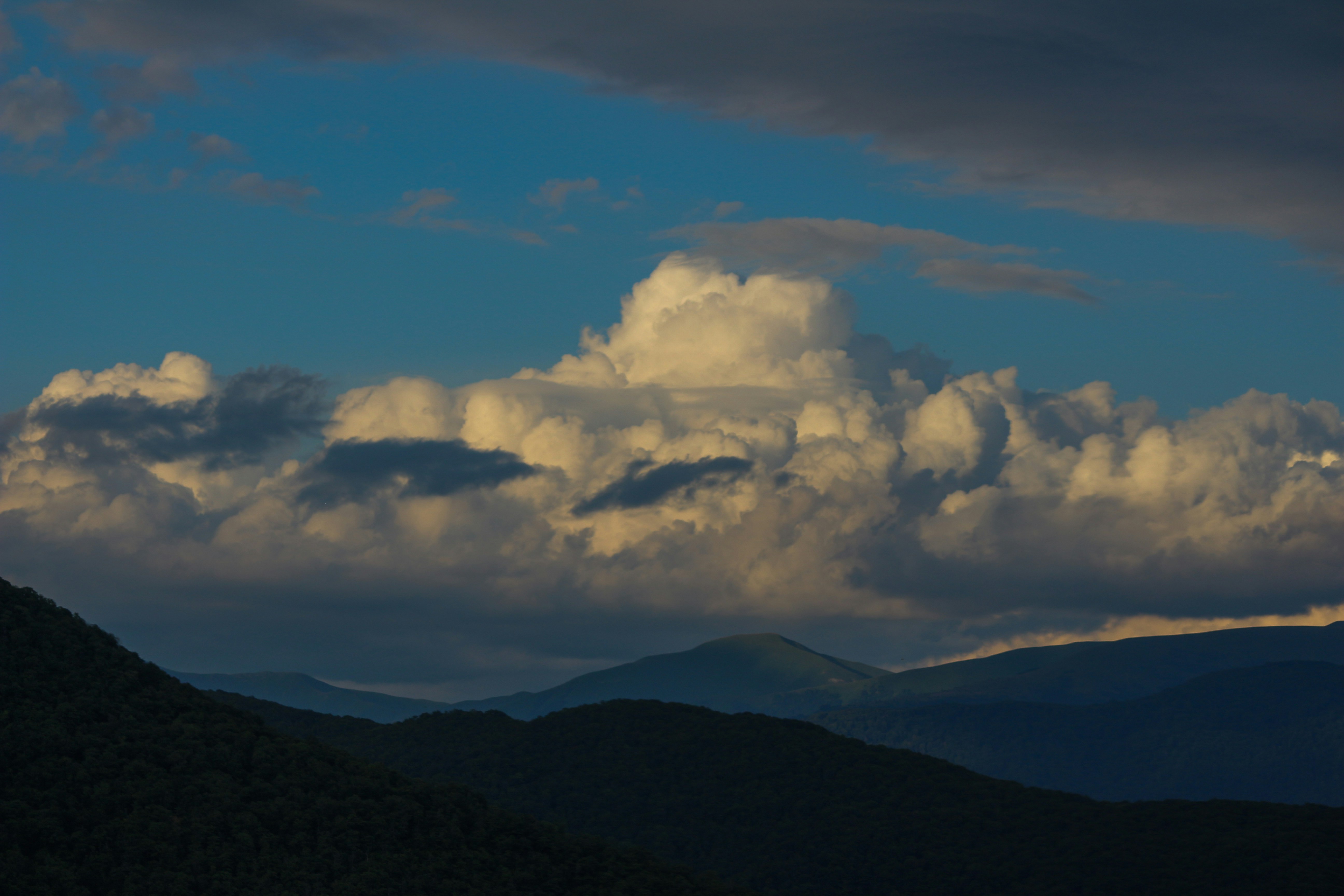 Photo by janayyyelakkad