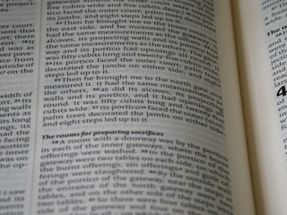 Highlighted contract sections showing revisions.