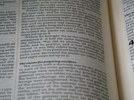 A close-up of an editor reviewing a printed manuscript with a red pen.