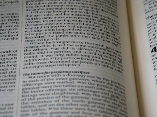 A detailed close-up of a printed electoral program with highlighted sections.