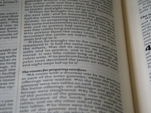 A close-up view of the pages of an open book, with text printed in black ink on off-white paper. The text appears to be formatted in two columns with some sections highlighted in bold.