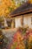A rustic cottage with a thatched roof is surrounded by vibrant autumn foliage and a garden full of colorful flowers in pink and orange hues. The path leading to the cottage door is bordered by clusters of blooming plants. Trees with golden leaves create a warm, inviting atmosphere.
