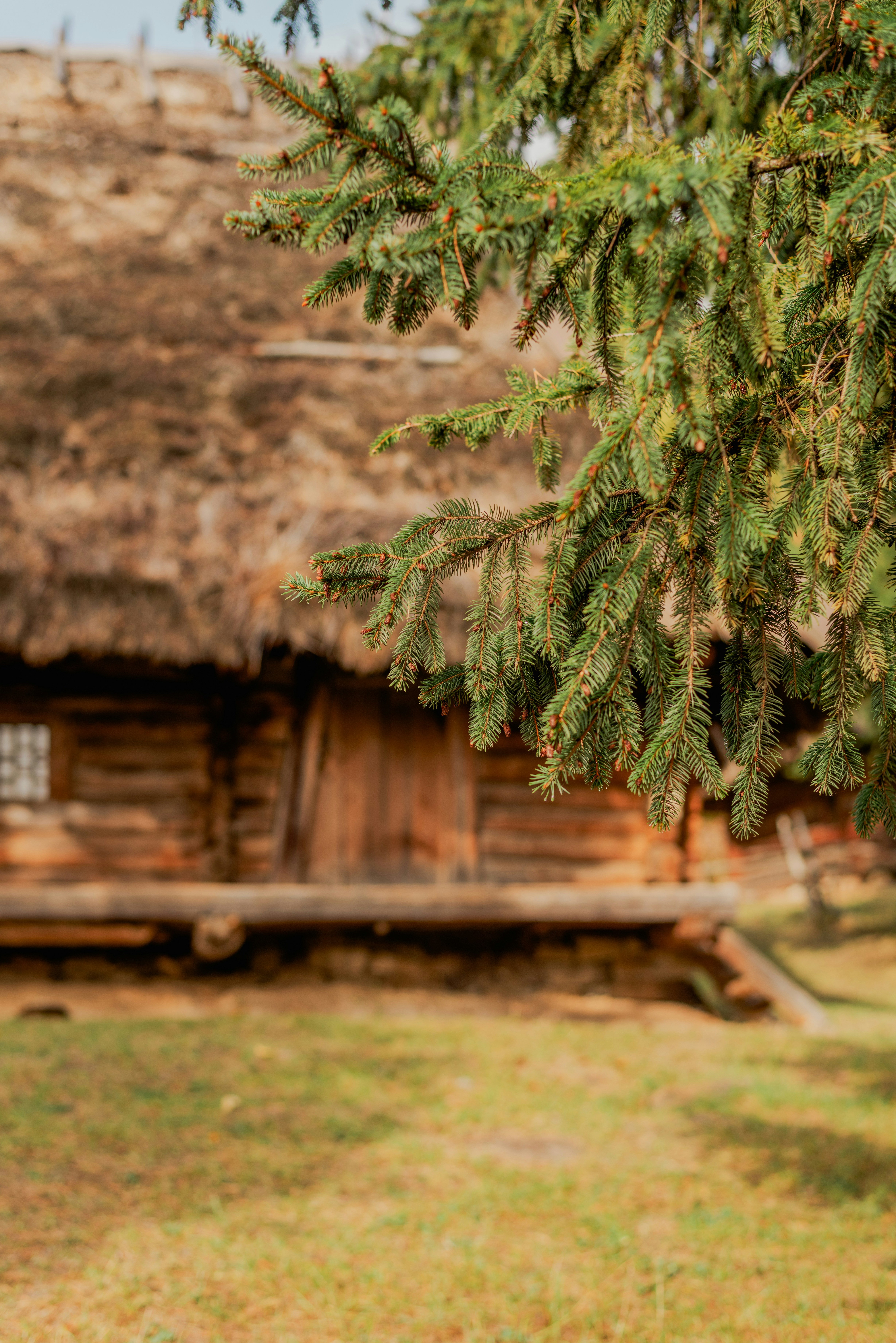 Home Restoration Services North Hollywood CA