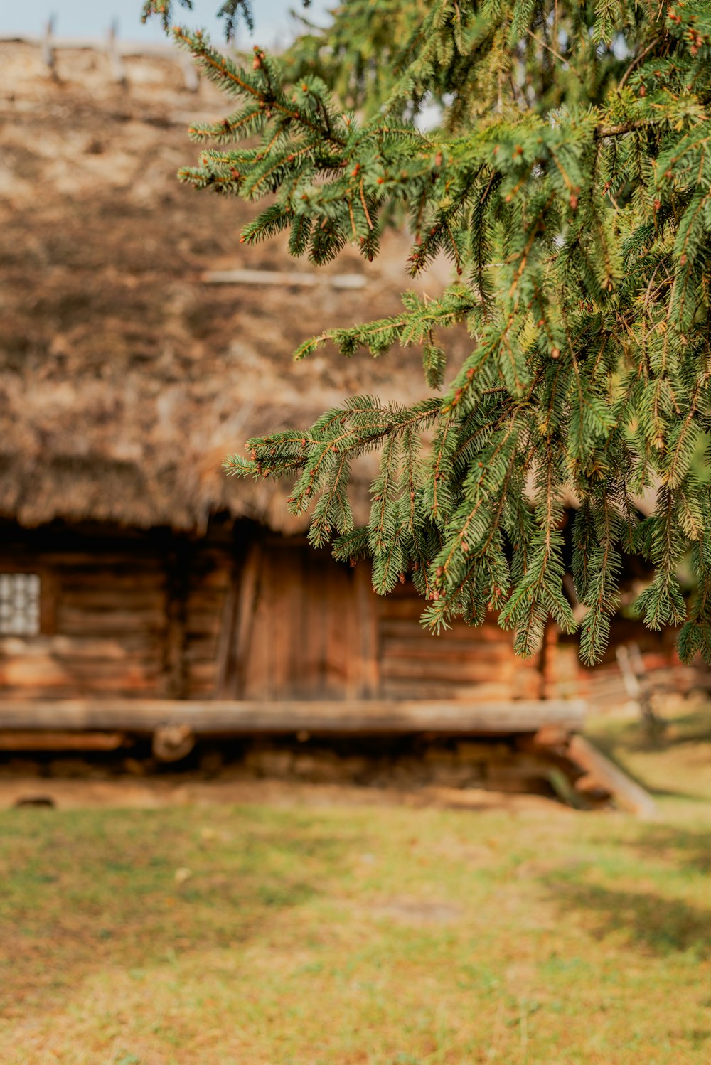 a log cabin with a thatched roof and a porch