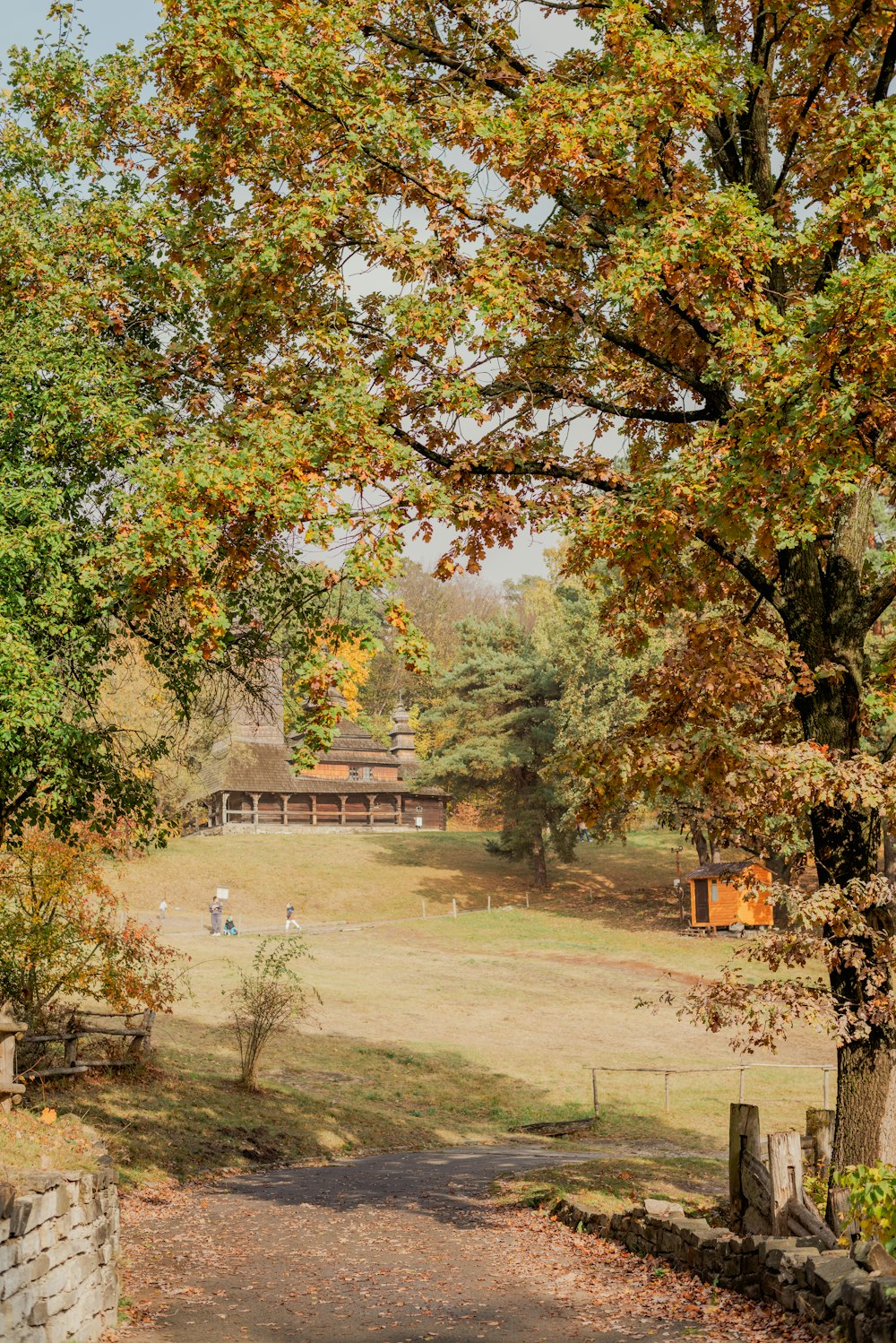 a view of a park with a bench and trees