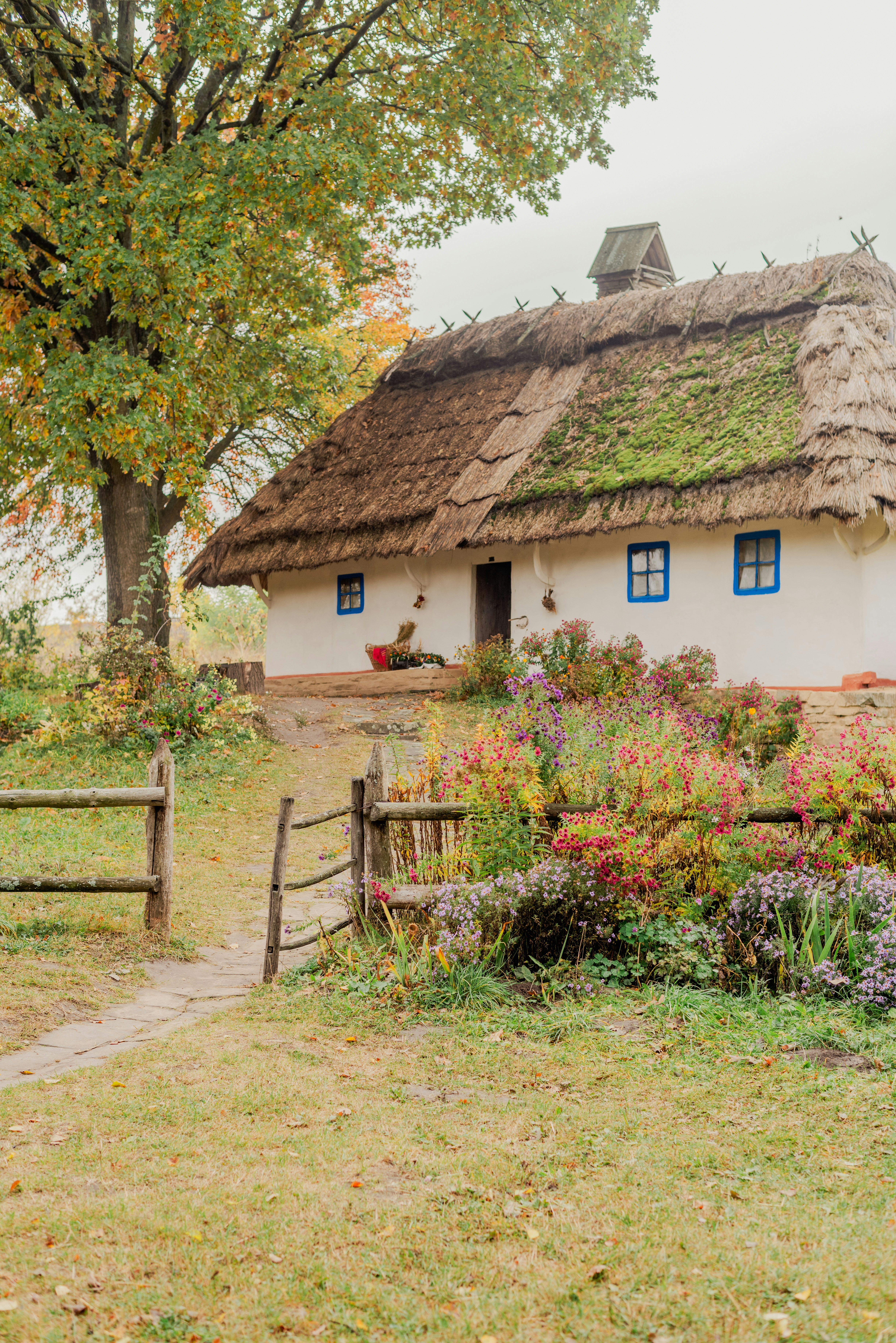 Photo by eugenivy_now