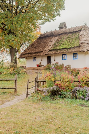 A quaint cottage with a thatched roof surrounded by a lush garden full of colorful flowers. The building has a rustic appearance with white walls and blue-framed windows. A wooden fence encloses the garden area, while a large tree with autumn foliage stands nearby.