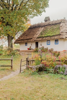 A quaint cottage with a thatched roof surrounded by a lush garden full of colorful flowers. The building has a rustic appearance with white walls and blue-framed windows. A wooden fence encloses the garden area, while a large tree with autumn foliage stands nearby.