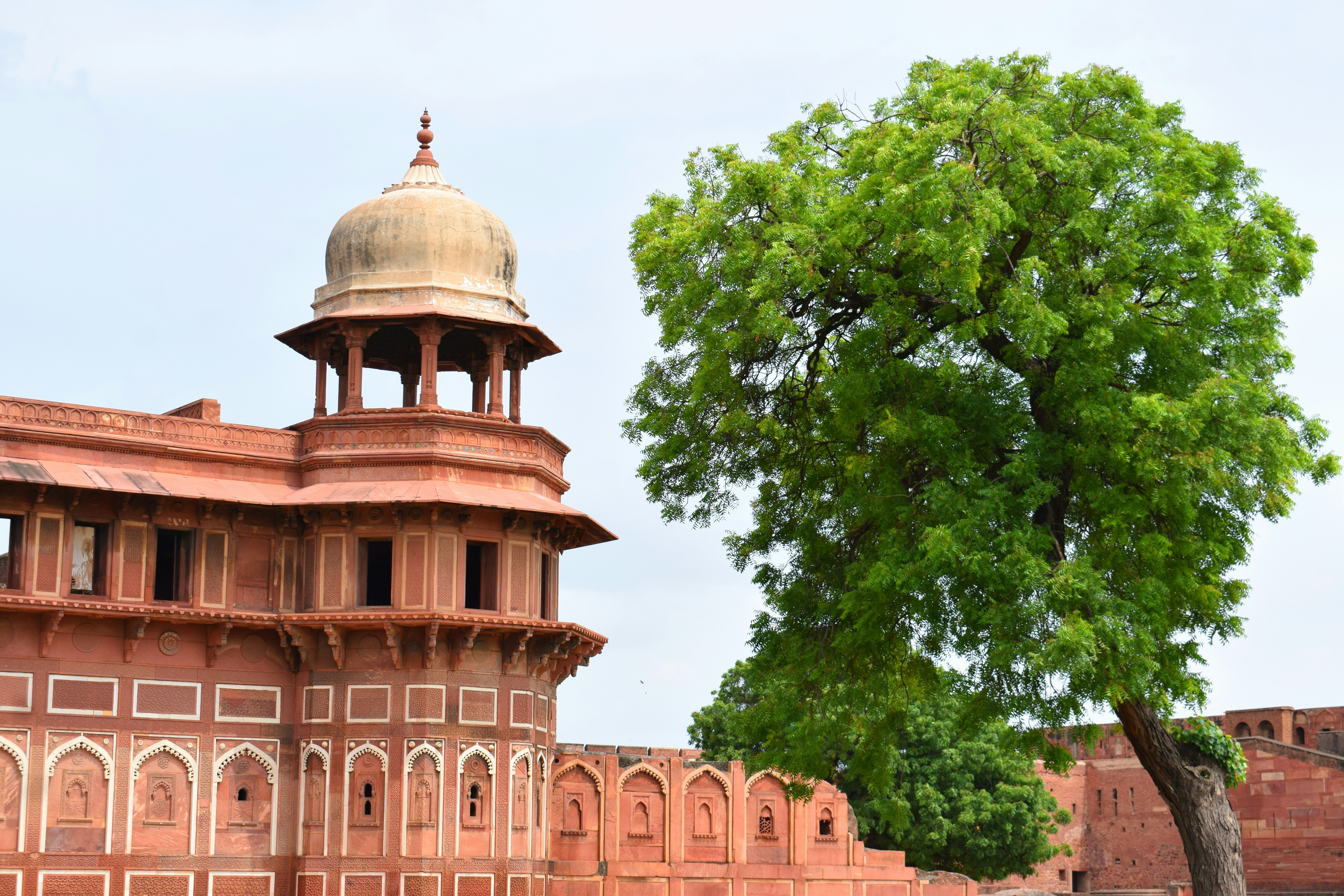 Photo by adityadoliya