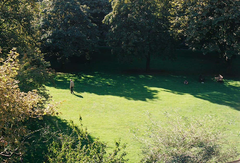 a person standing in the middle of a lush green field