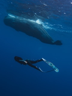A diver equipped with fins is underwater alongside a large whale, illustrating the vastness and depth of the ocean. The water is a deep blue, contributing to the serene and awe-inspiring ambiance.