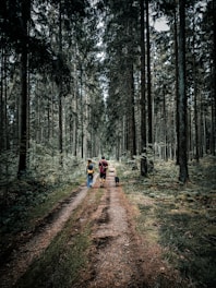 A couple is walking along a forest path with their dog. Tall evergreen trees line the path, creating a natural and serene environment. The individuals are dressed casually, and the forest floor is lush with green foliage.