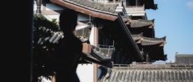 Traditional East Asian architecture with intricately designed roof tiles and wooden structures. The silhouette of a person is also visible in the foreground.