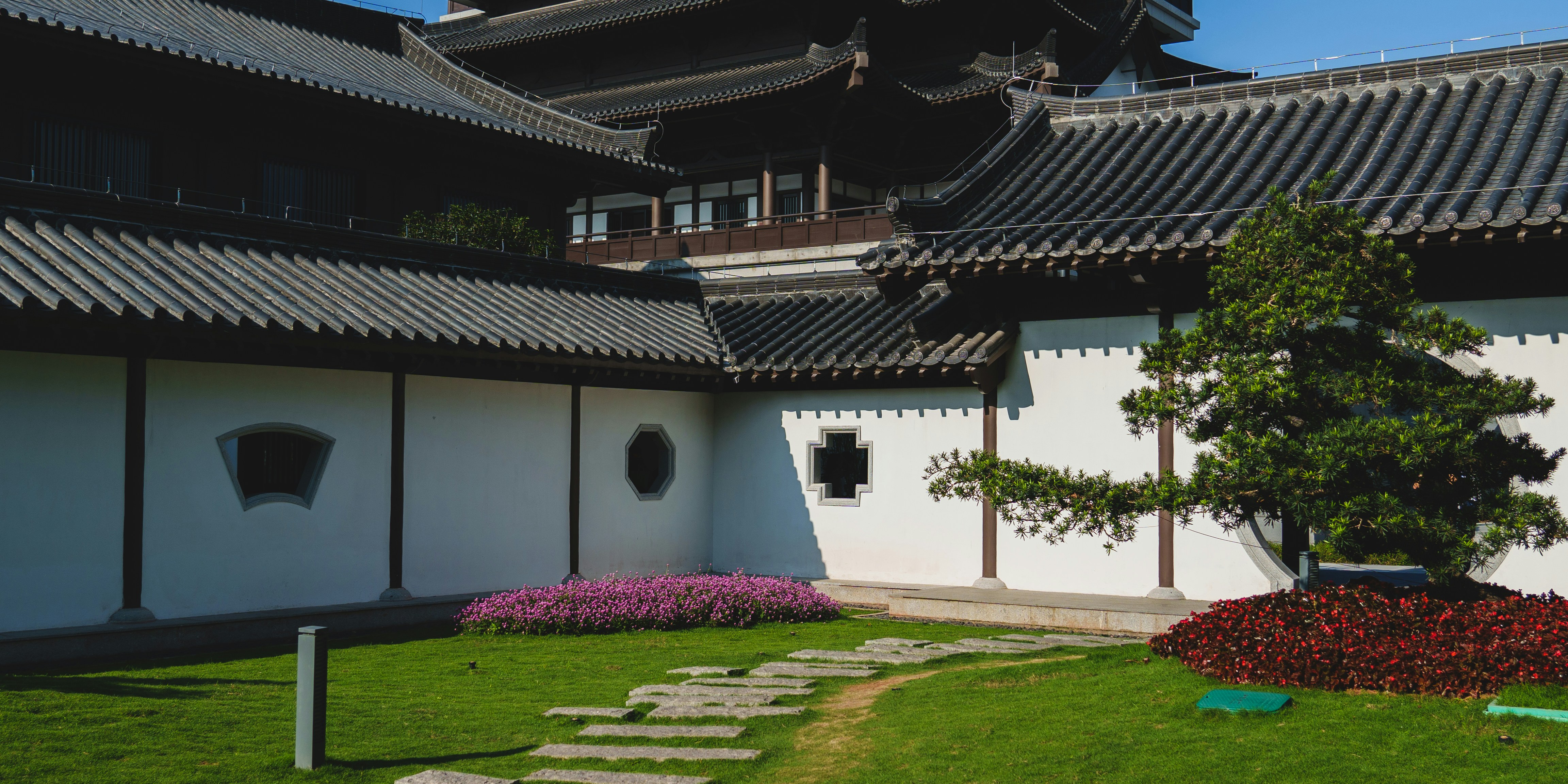 a white building with a tree in the middle of it