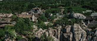 A scenic view of a lush green landscape with traditional Vietnamese architecture in the background.