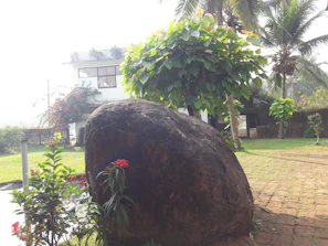 Artificial rock formations enhancing the natural feel of a private villa garden.