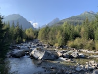 A tranquil mountain stream reflecting the clear blue sky, framed by tall pines and wildflowers.