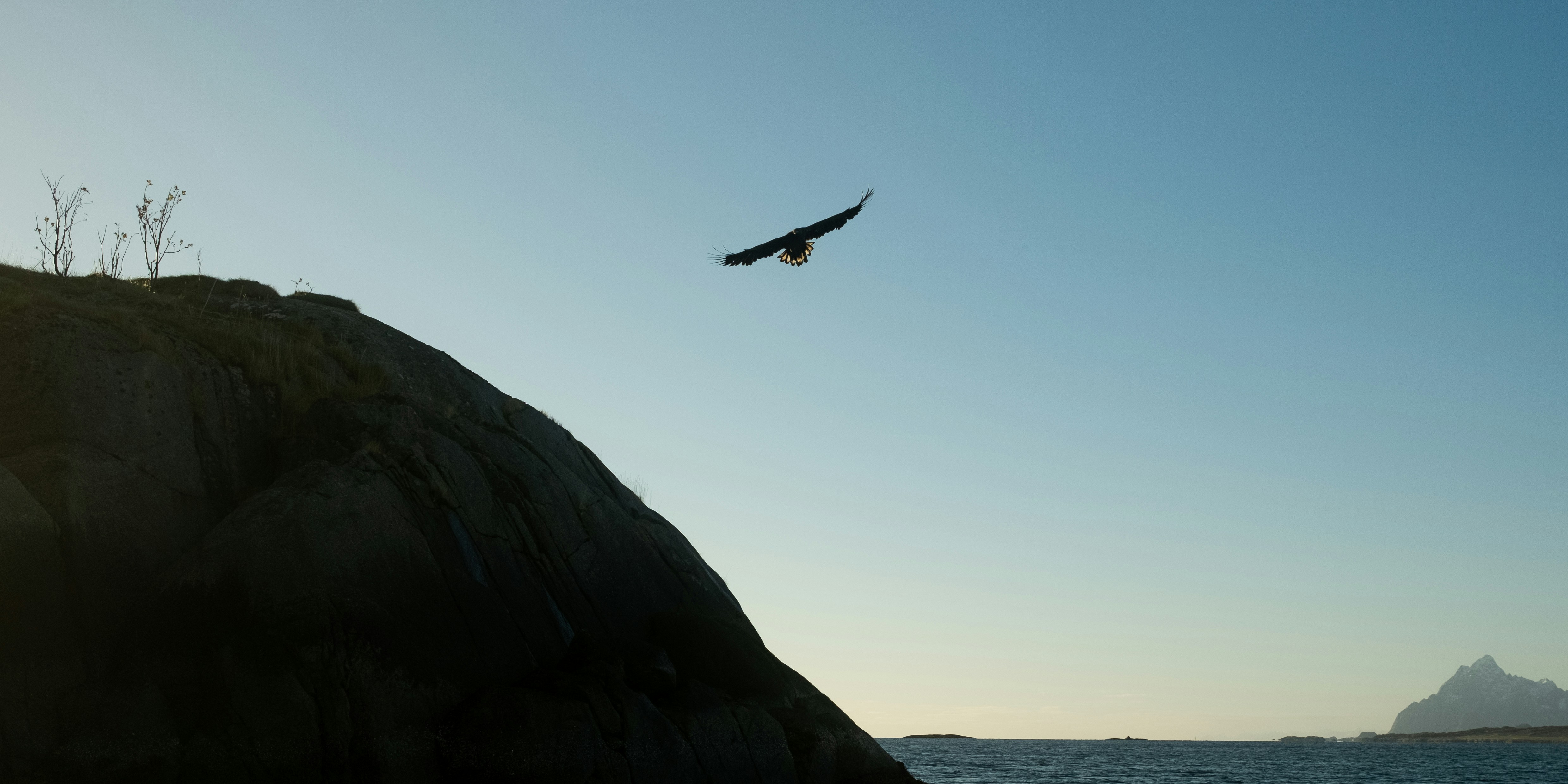 Photo by andreassvarholt