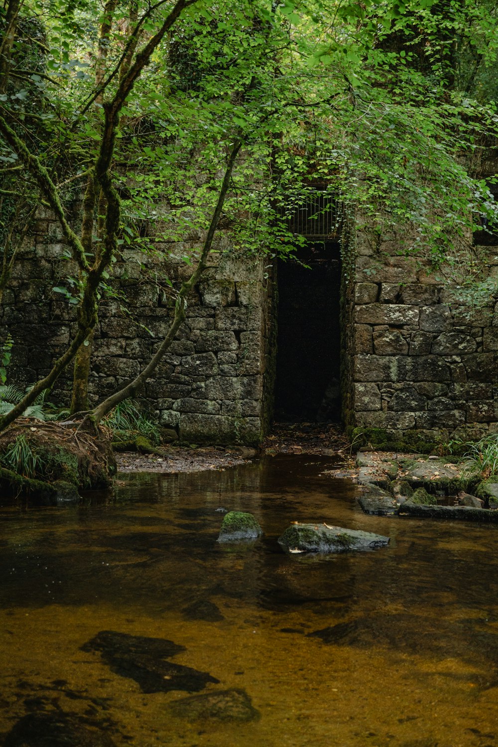 a stone building surrounded by trees and water