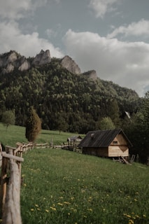 A small wooden cabin sits in a lush green meadow, surrounded by a natural wooden fence. The meadow is dotted with yellow wildflowers, and in the background, jagged tree-covered mountains rise beneath a partly cloudy sky. Tall trees and a peaceful rural setting create a tranquil and serene atmosphere.