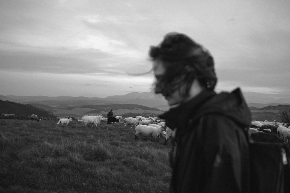 a person standing in a field with a herd of sheep